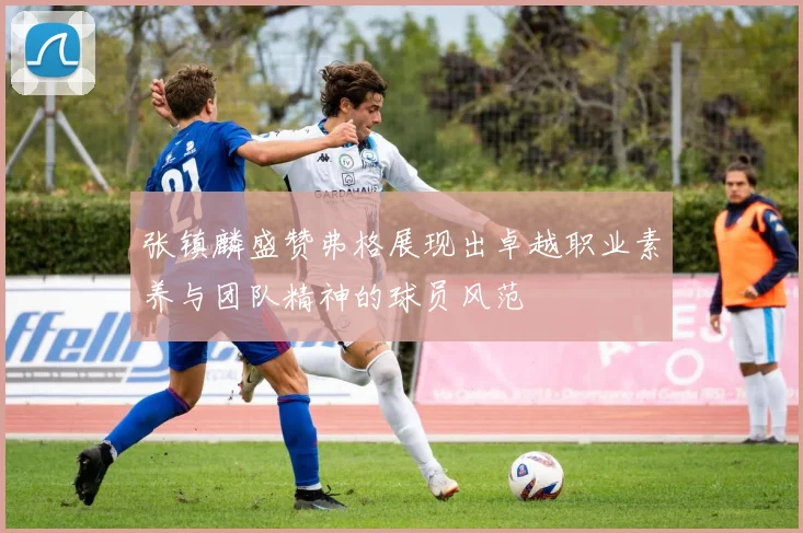 张镇麟盛赞弗格展现出卓越职业素养与团队精神的球员风范